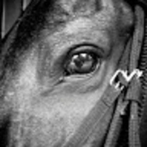 Meet your Posher, Bianca